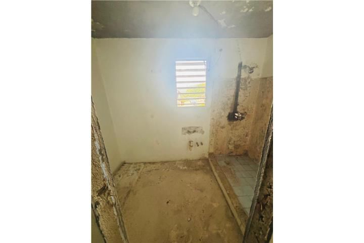 Mula Aguas Buenas 00703 PR
