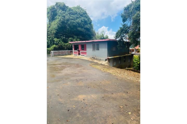 Mula Aguas Buenas 00703 PR