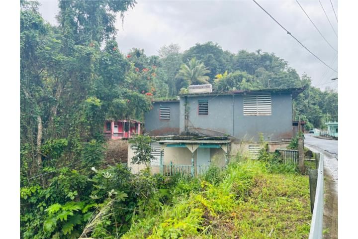 Mula Aguas Buenas 00703 PR