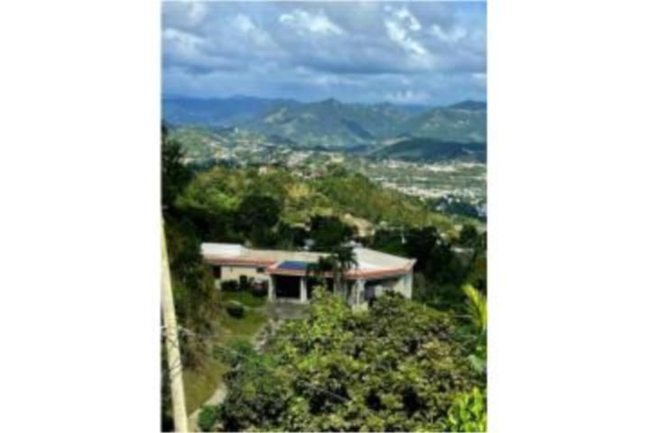 Quebrada Arriba Cayey 00736 PR