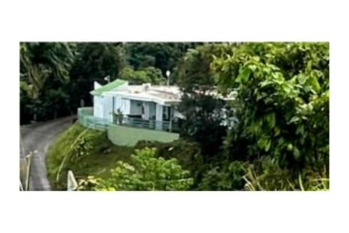 Quebrada Arriba Cayey 00736 PR