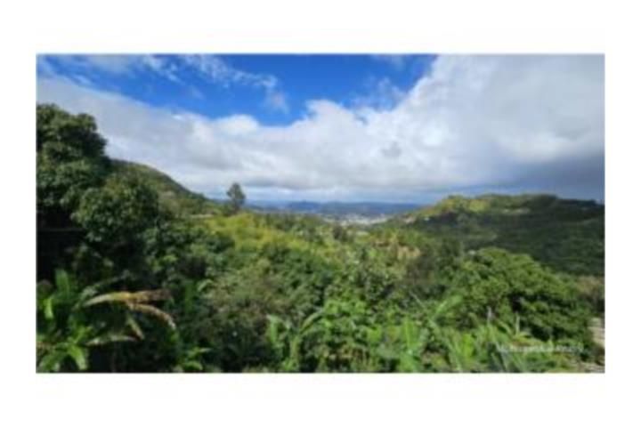 Quebrada Arriba Cayey 00736 PR