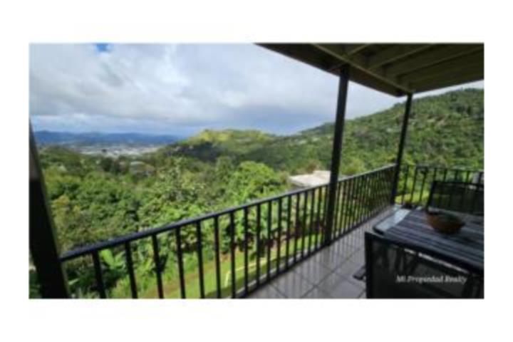 Quebrada Arriba Cayey 00736 PR