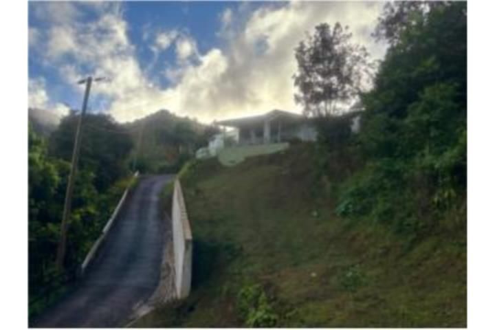 Quebrada Arriba Cayey 00736 PR