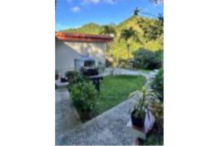 Quebrada Arriba Cayey 00736 PR