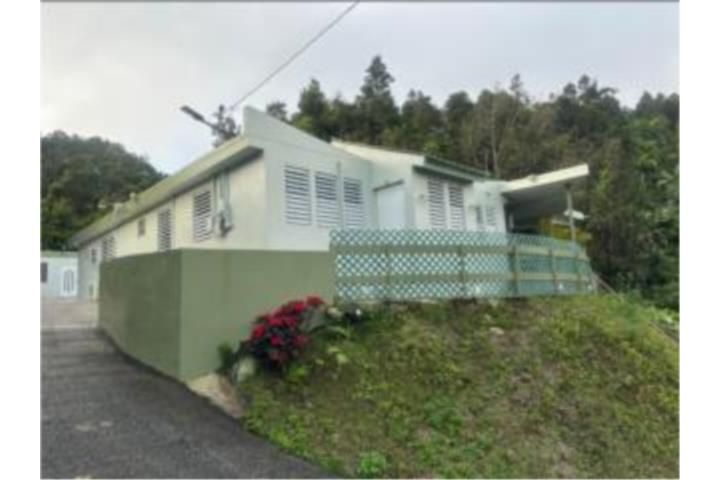 Quebrada Arriba Cayey 00736 PR