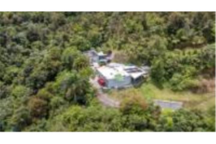 Quebrada Arriba Cayey 00736 PR