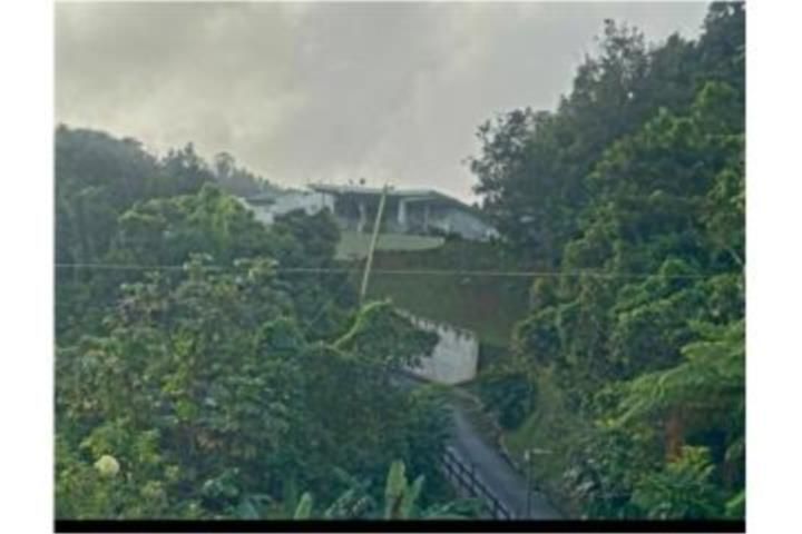 Quebrada Arriba Cayey 00736 PR