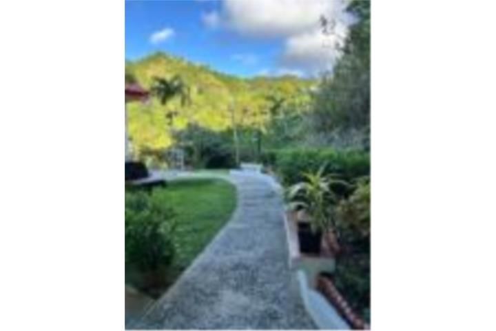 Quebrada Arriba Cayey 00736 PR
