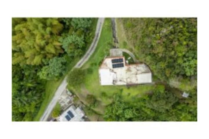 Quebrada Arriba Cayey 00736 PR
