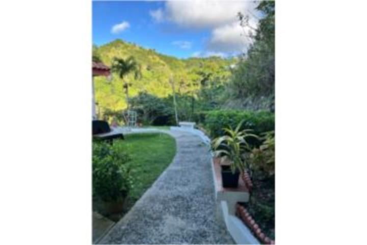 Quebrada Arriba Cayey 00736 PR