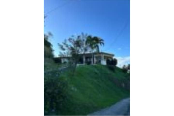 Quebrada Arriba Cayey 00736 PR