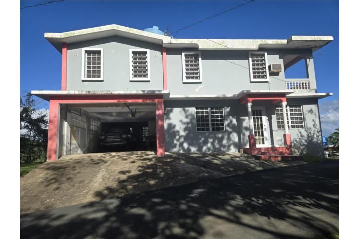 Doña Elena Comerio 00782 PR