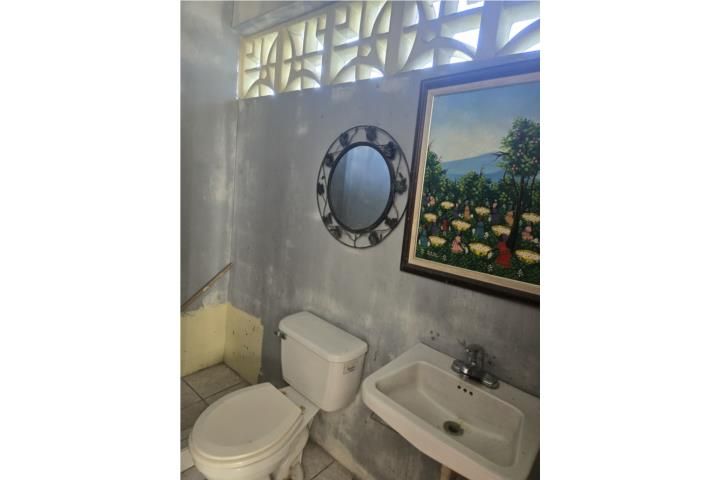 Doña Elena Comerio 00782 PR