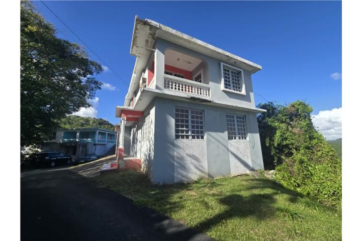 Doña Elena Comerio 00782 PR