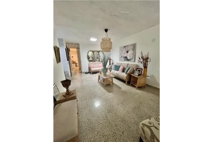 40 Cll 5a Loiza 00729 PR