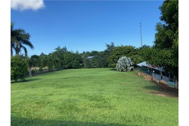 Pájaros Bayamon 00953 PR