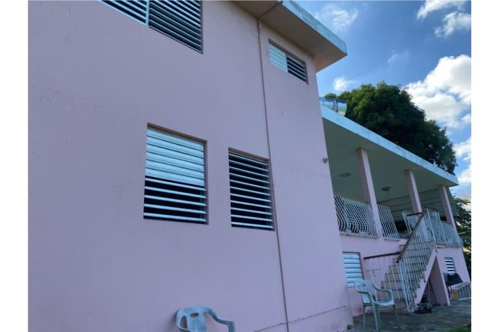 Pájaros Bayamon 00953 PR