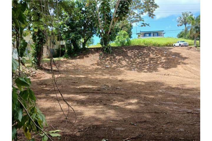 Peña Pobre Naguabo 00718 PR