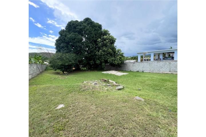 Estancias De Juana Diaz 00795 PR