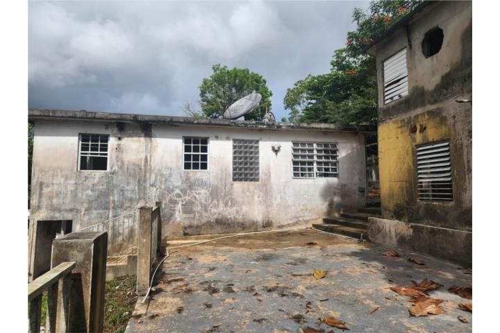 C. Buena Vista Bayamon 00957 PR