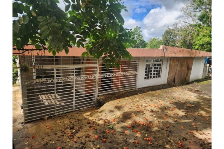 C. Buena Vista Bayamon 00957 PR