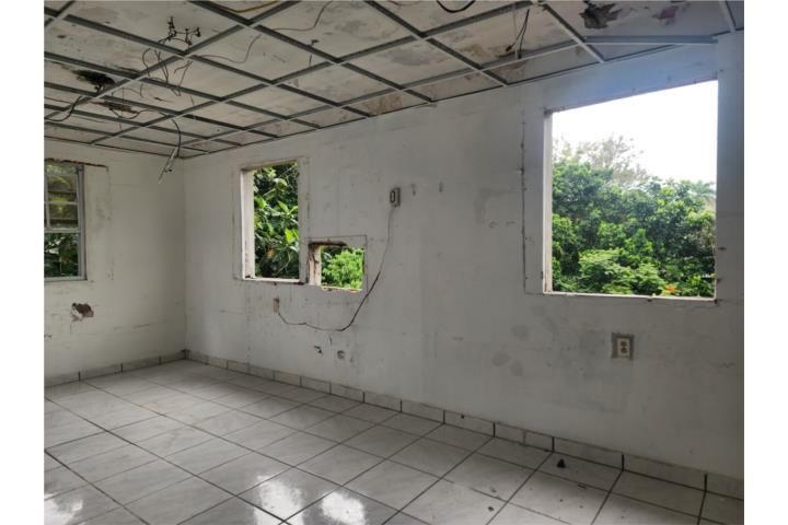 C. Buena Vista Bayamon 00957 PR