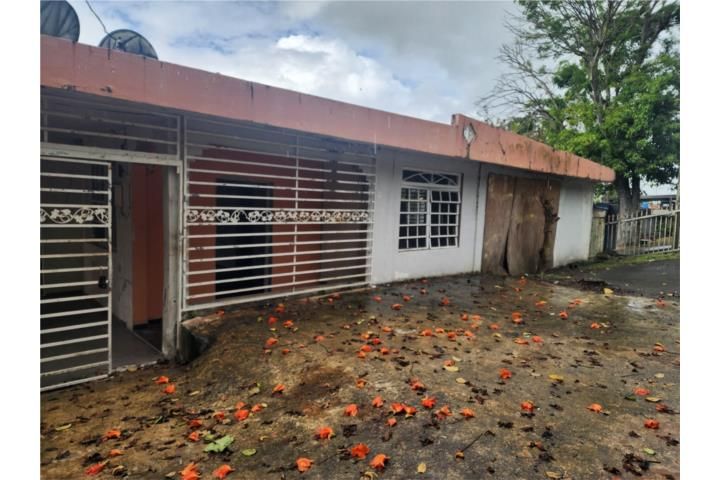 C. Buena Vista Bayamon 00957 PR