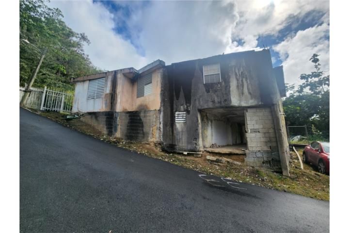 C. Buena Vista Bayamon 00957 PR