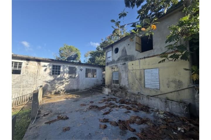 C. Buena Vista Bayamon 00957 PR