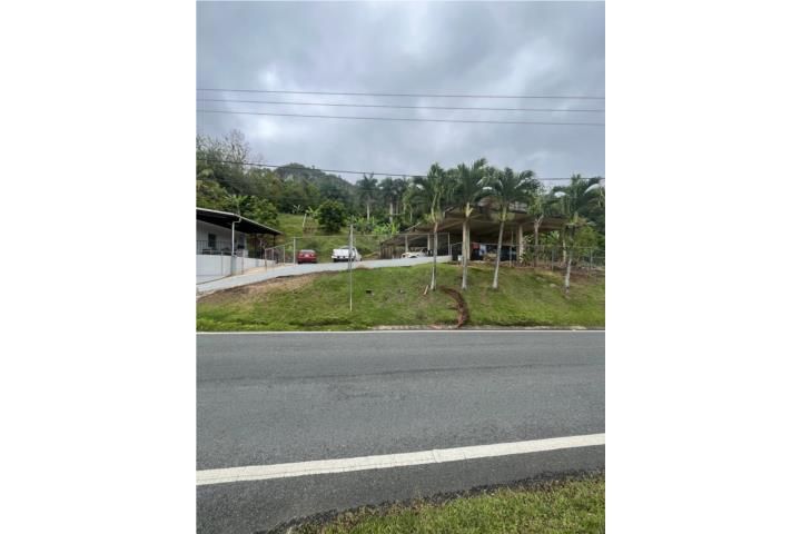 Utuado Utuado 00641 PR