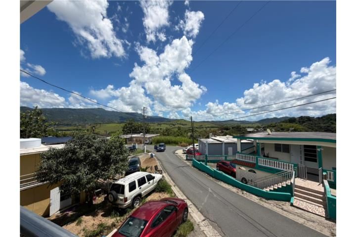 58 Calle Escute Juncos Pr Juncos 00777 PR
