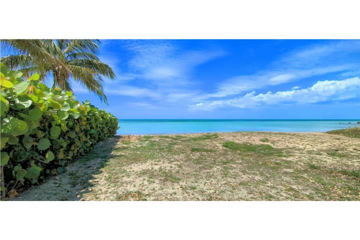 El Combate Cabo Rojo 00622 PR