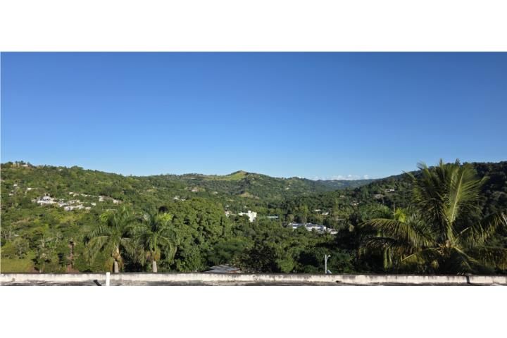 Bartolo Lares 00631 PR