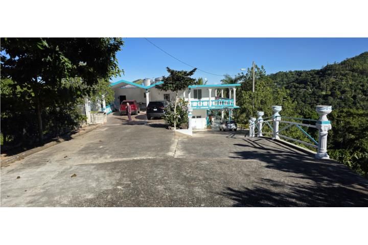 Bartolo Lares 00631 PR