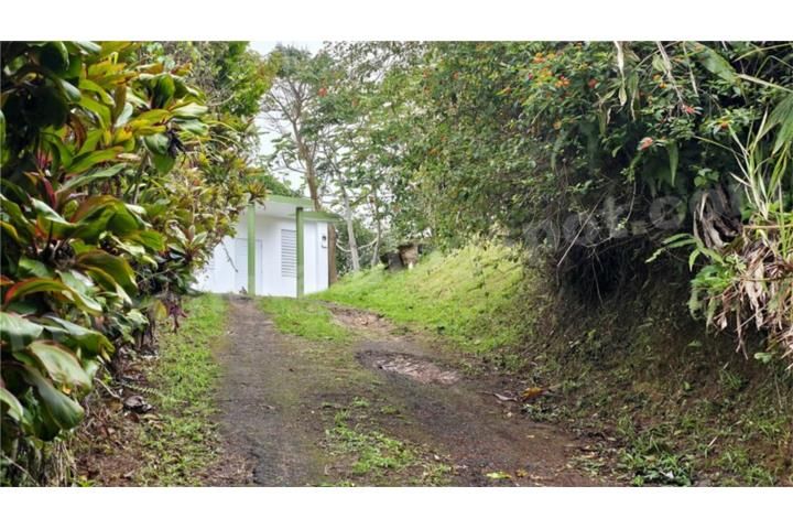 Río Prieto Yauco 00698 PR