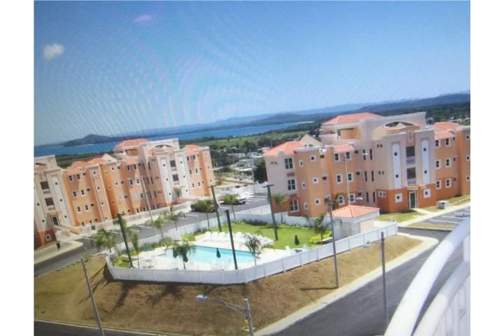 79h5+hx Ceiba 00735 PR