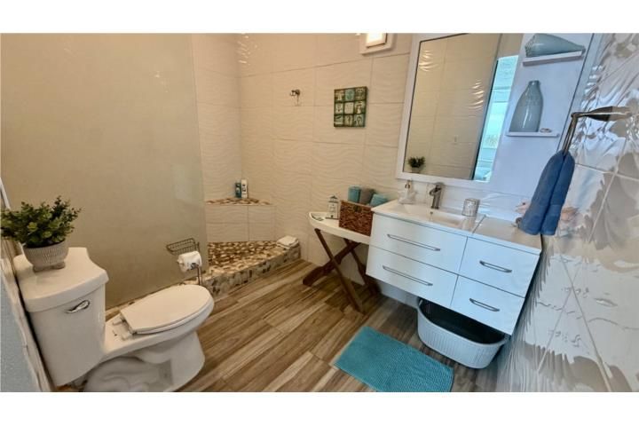 113 Calle Extension Kennedy Dorado 00646 PR