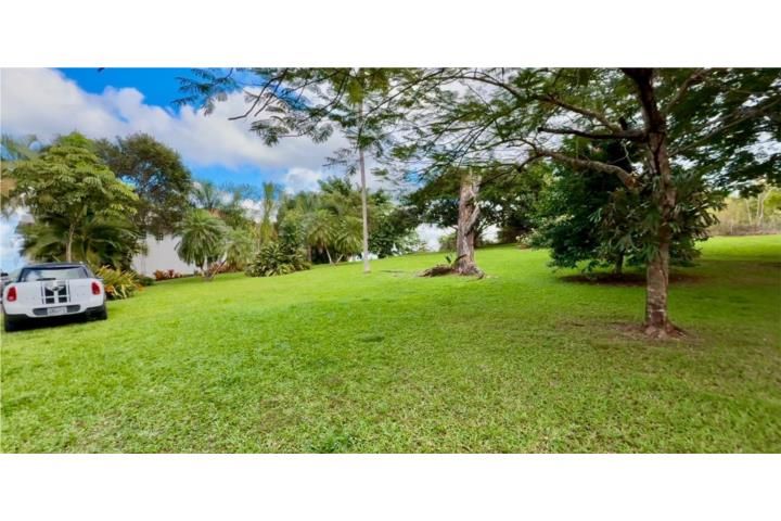 Morovis Sur Morovis 00687 PR