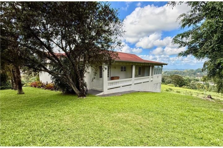 Morovis Sur Morovis 00687 PR