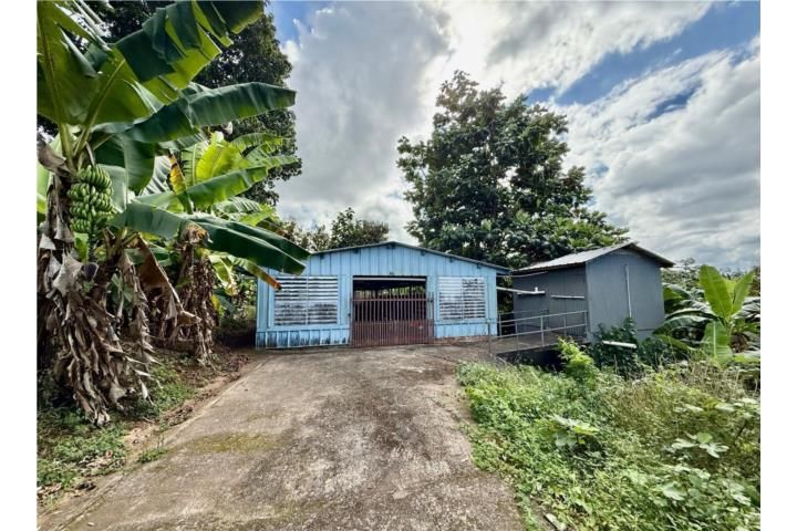 Morovis Sur Morovis 00687 PR