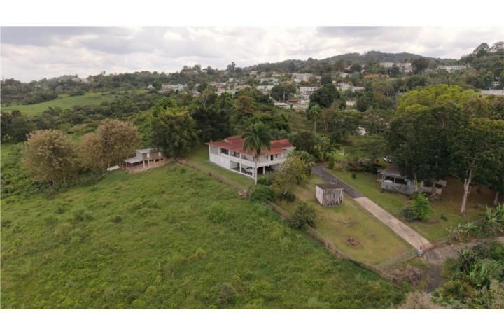Morovis Sur Morovis 00687 PR