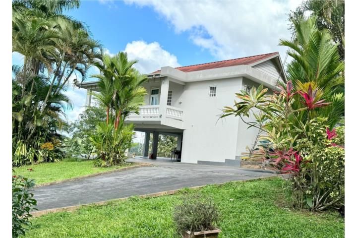 Morovis Sur Morovis 00687 PR