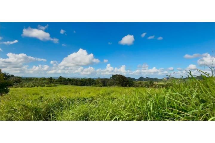 Morovis Sur Morovis 00687 PR