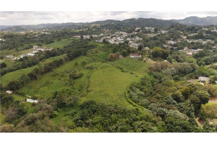 Morovis Sur Morovis 00687 PR