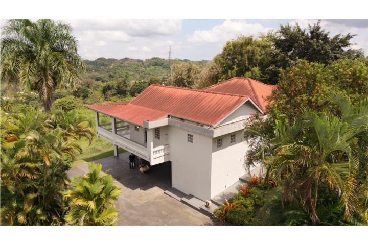 Morovis Sur Morovis 00687 PR