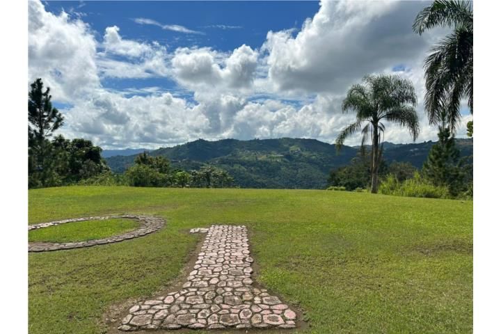 Quebradillas Barranquitas 00794 PR