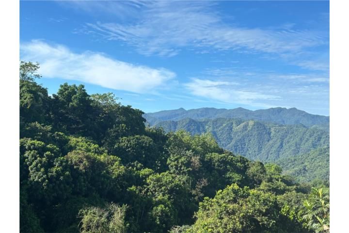 Pesas Ciales 00638 PR