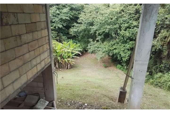 Bartolo Lares 00631 PR