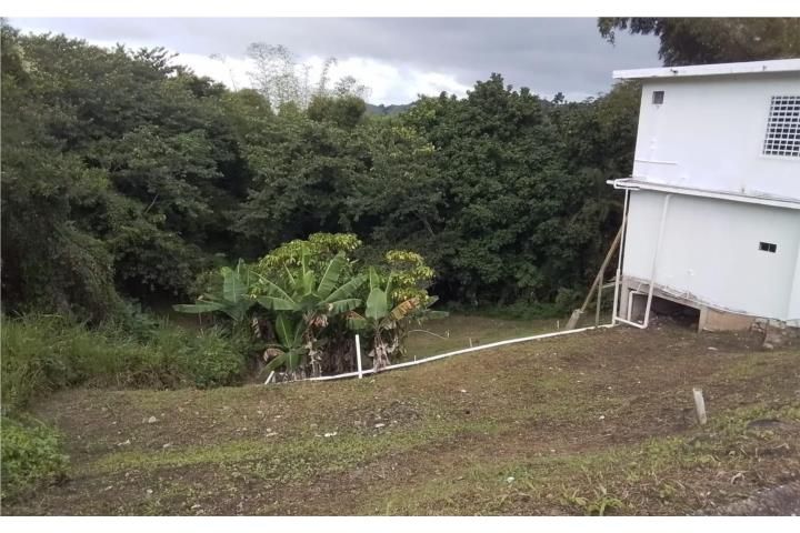Bartolo Lares 00631 PR